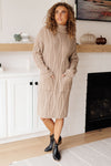 Bundled Beauty Turtleneck Sweater Dress