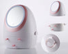 PREORDER: Parker Beauty Storage in Pink