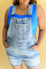 Judy Blue Devon Distressed Shortalls