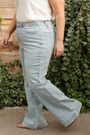 Judy Blue Fiona Hi-Rise Braided Waistband Jeans