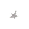 PREORDER: Jazzy Star Charm