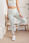 Lux & Plush Leggings In Mist