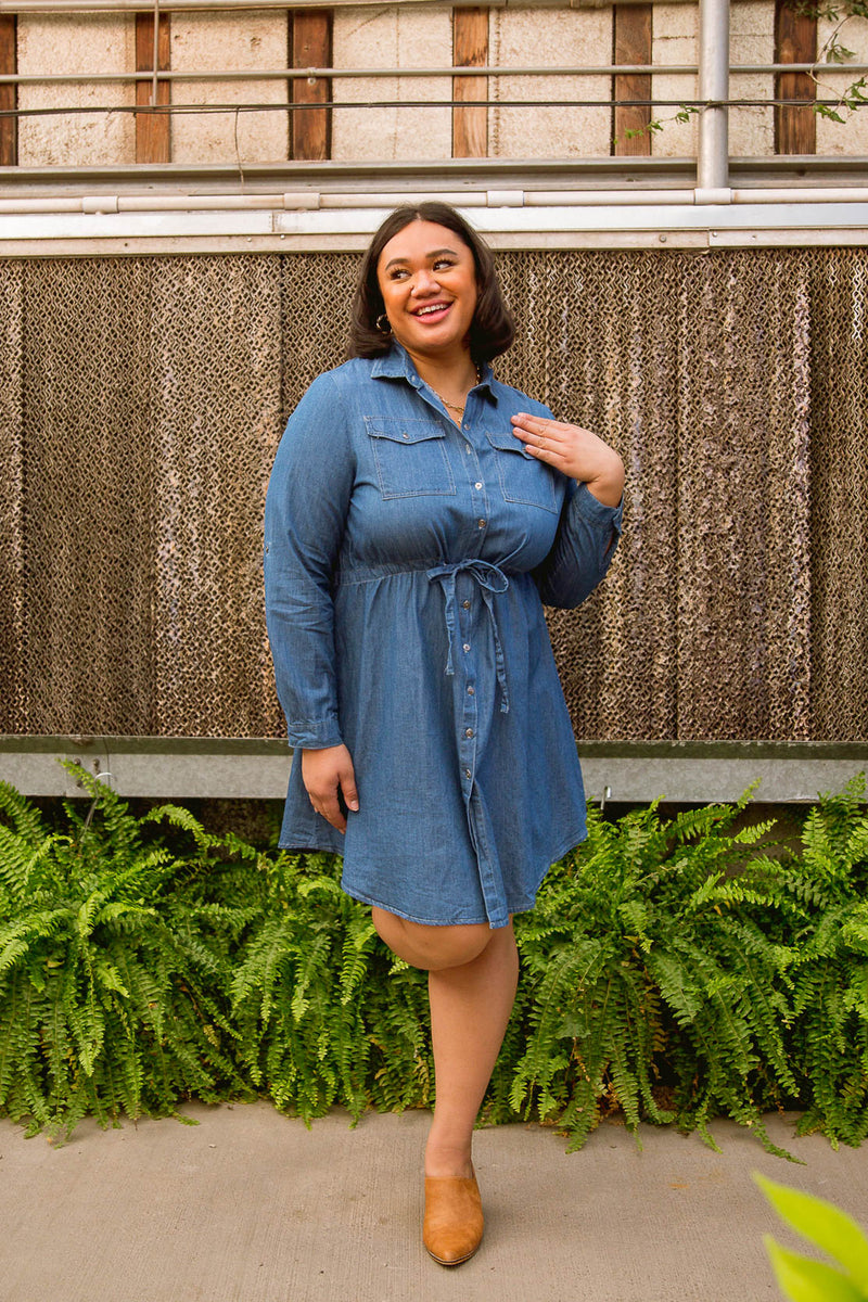 Midwest Denim Dress