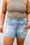 Judy Blue Shelby High Waist Destroyed Shorts