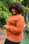 Sierra Eyelash Sweater Knit Top In Rust