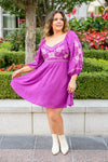 Talks Of Color Embroidered Dress