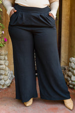 Up To Date Pleated Wide Leg Pants In Black